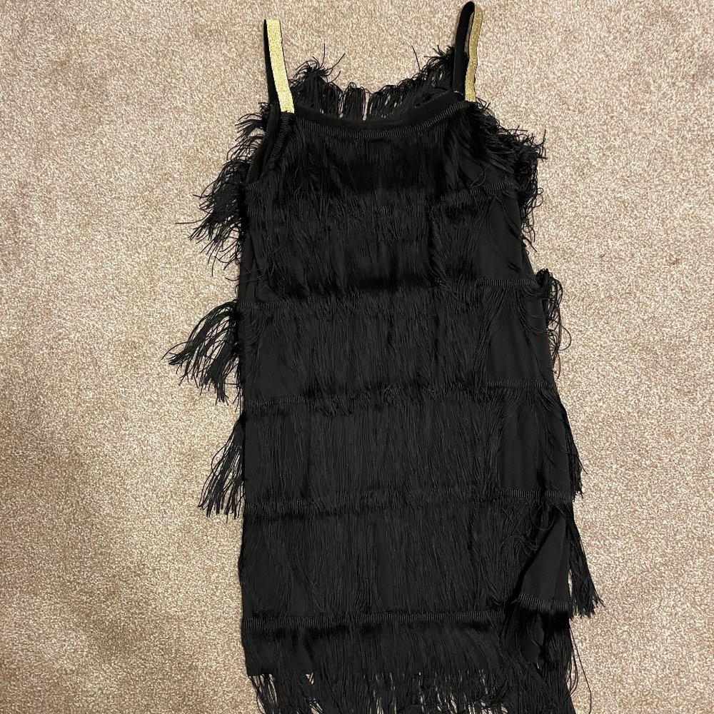 Flapper Dress - image 1